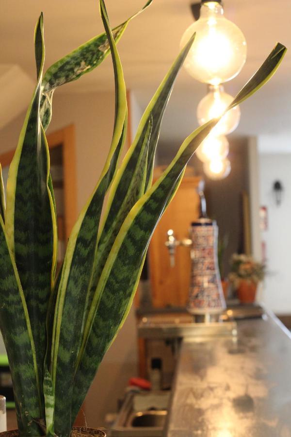Hostal As Margaritas 산티아고데콤포스텔라 외부 사진